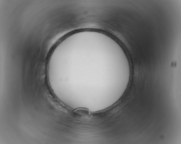 X0000111011364200907101306