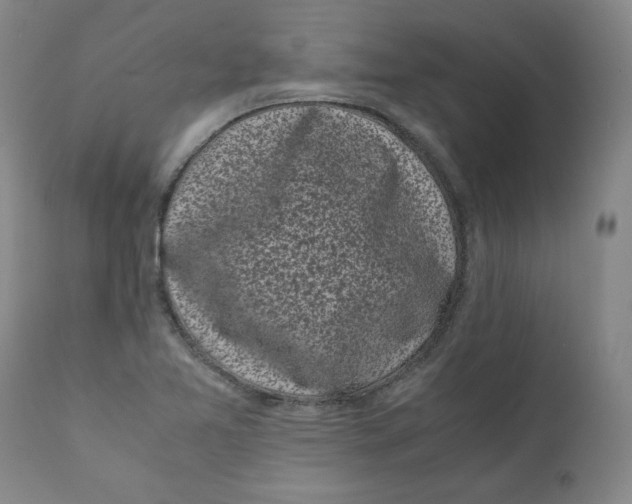 X0000111011365200907101306
