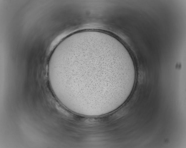 X0000111011366200907101306