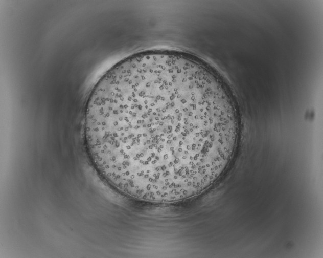 X0000111011367200907101306