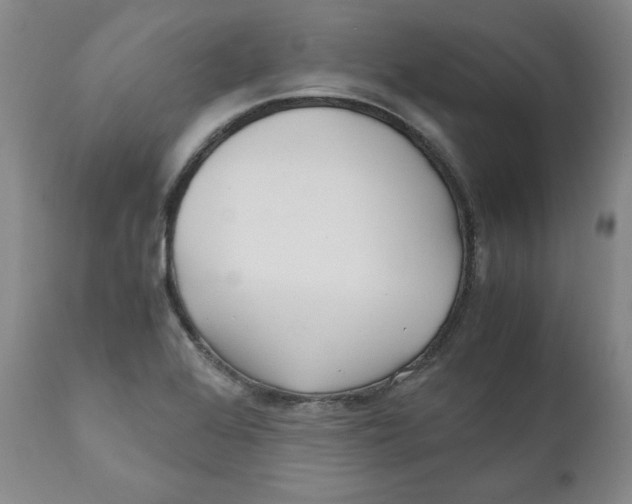 X0000111011368200907101306