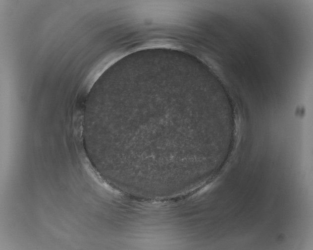 X0000111011369200907101306