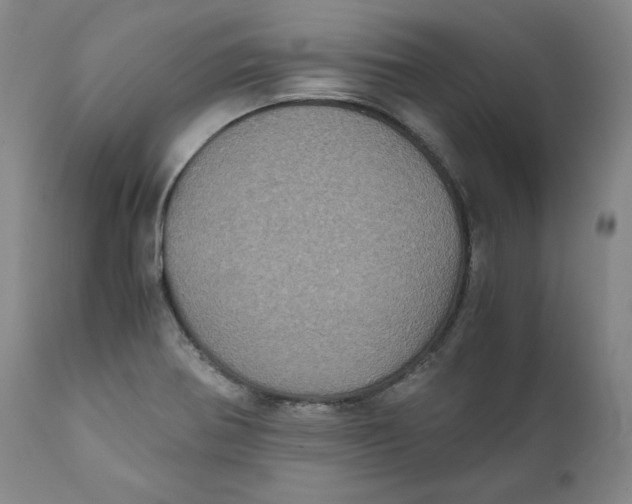 X0000111011370200907101306