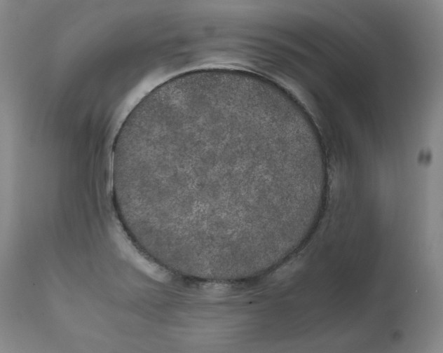 X0000111011371200907101306
