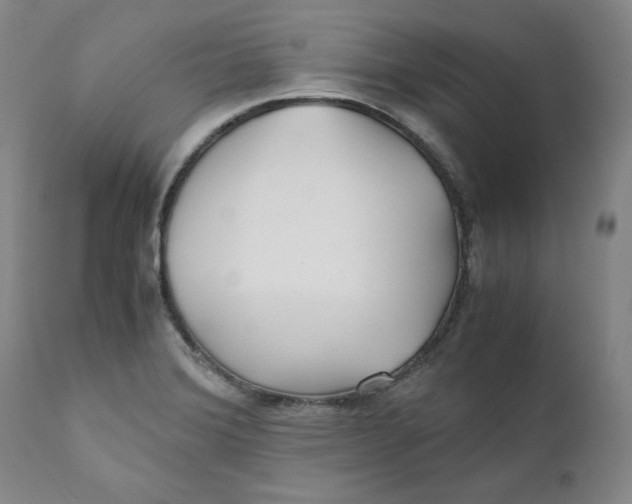 X0000111011372200907101306