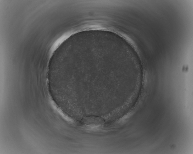 X0000111011373200907101306