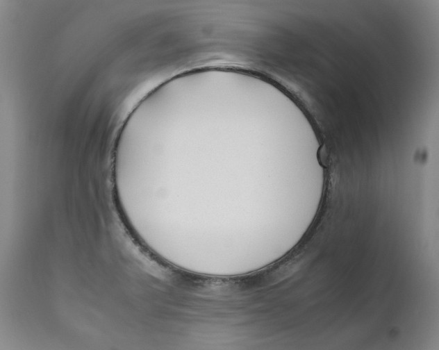 X0000111011375200907101305