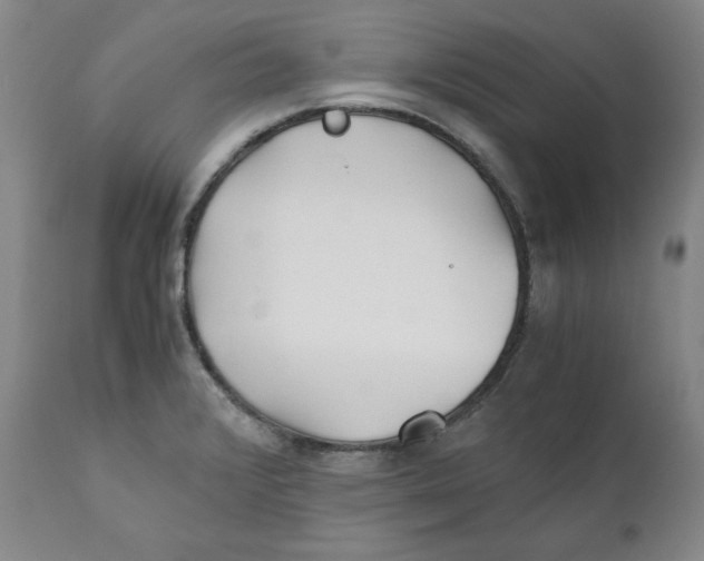 X0000111011376200907101305