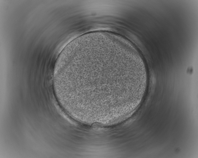 X0000111011377200907101305