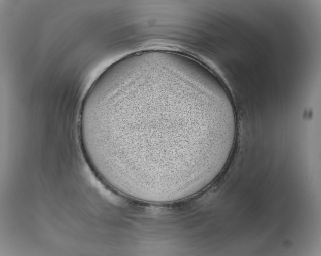 X0000111011379200907101305