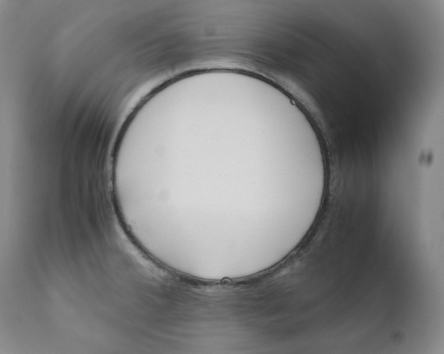 X0000111011380200907101305