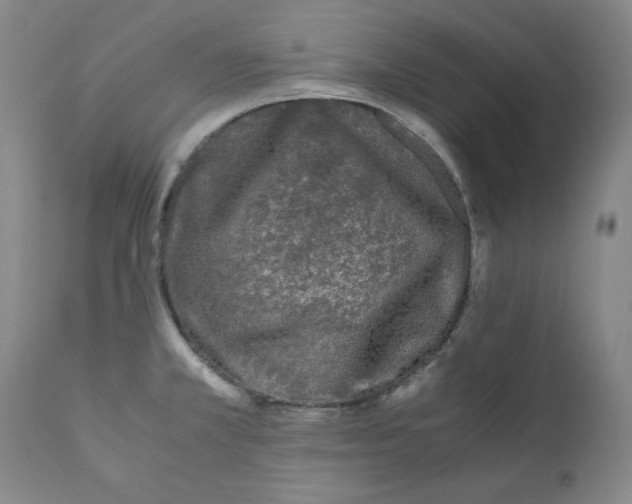 X0000111011381200907101305