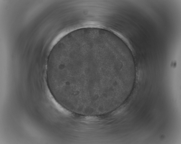X0000111011383200907101305