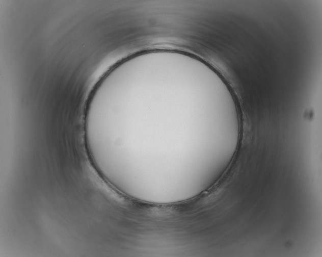 X0000111011384200907101305