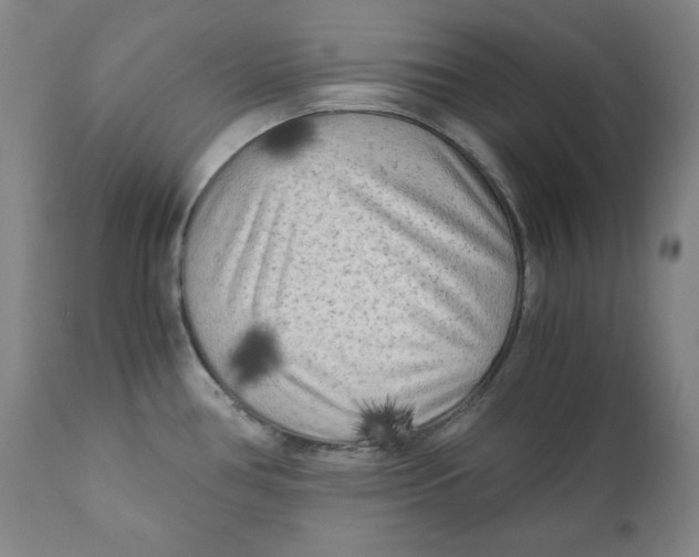 X0000111011386200907101305