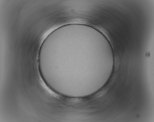 X0000111011387200907101305
