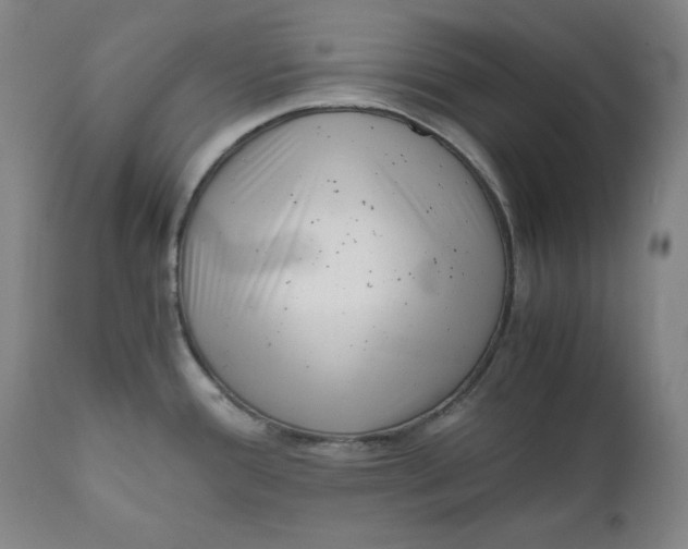 X0000111011388200907101305