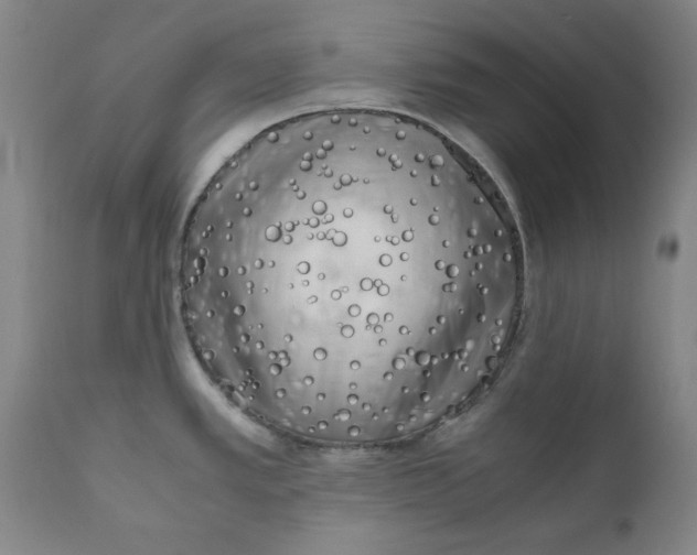 X0000111011389200907101305