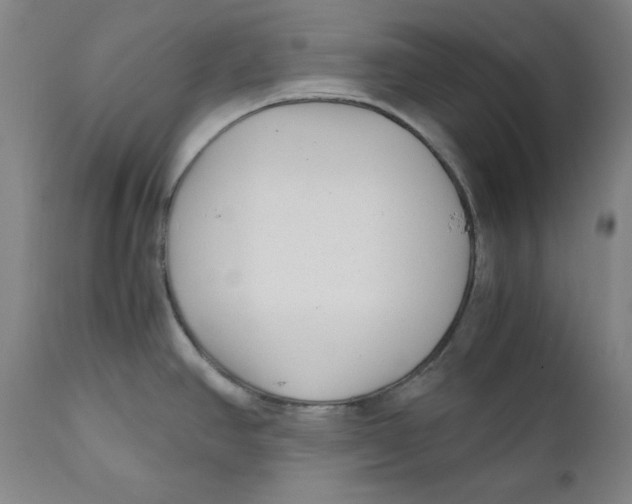 X0000111011390200907101305