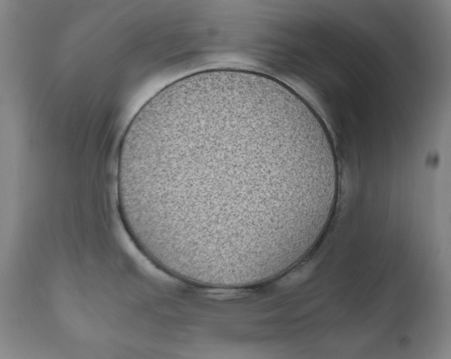 X0000111011391200907101305