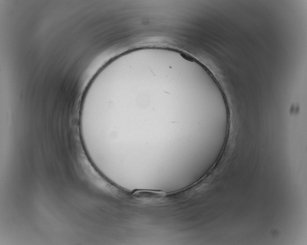 X0000111011392200907101305