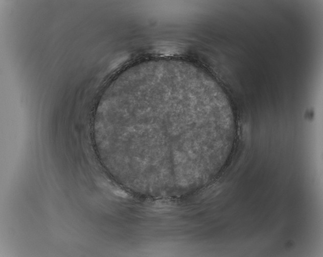 X0000111011393200907101304