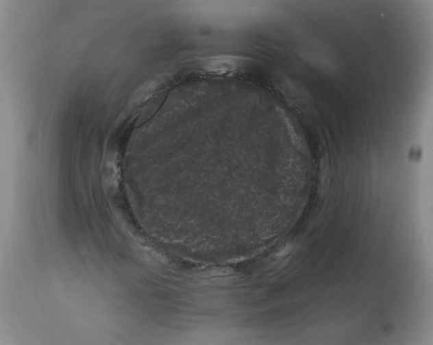X0000111011394200907101304
