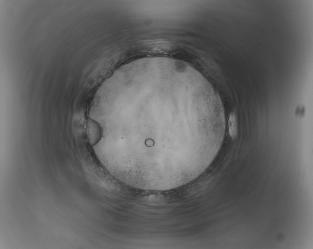 X0000111011395200907101304