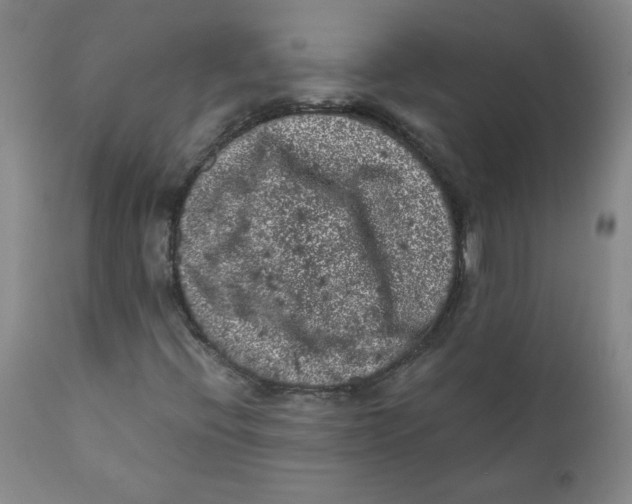 X0000111011396200907101304