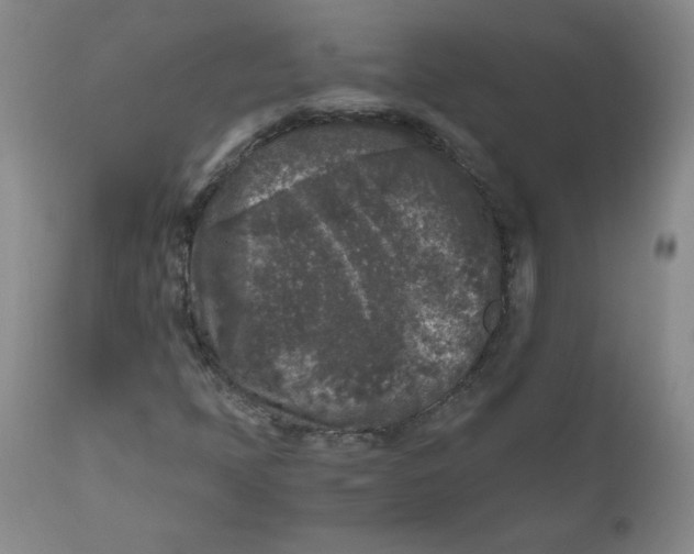 X0000111011397200907101304