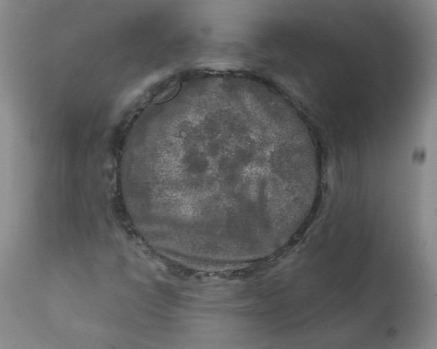 X0000111011398200907101304