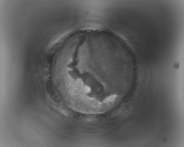 X0000111011399200907101305