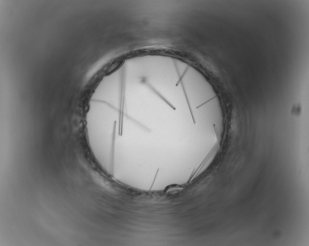 X0000111011400200907101305