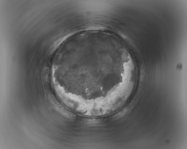 X0000111011401200907101305