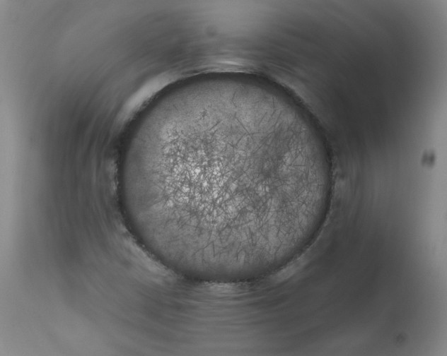 X0000111011402200907101305