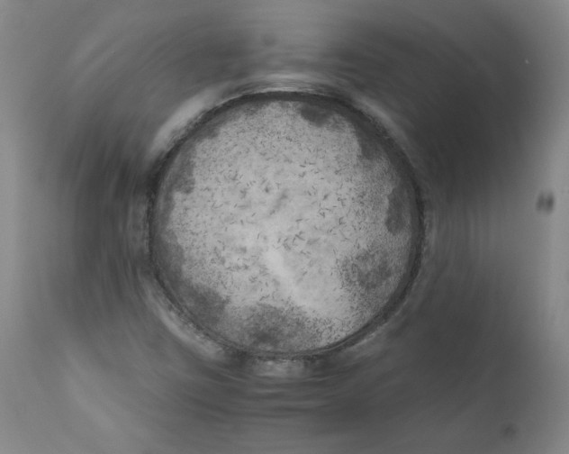 X0000111011403200907101305
