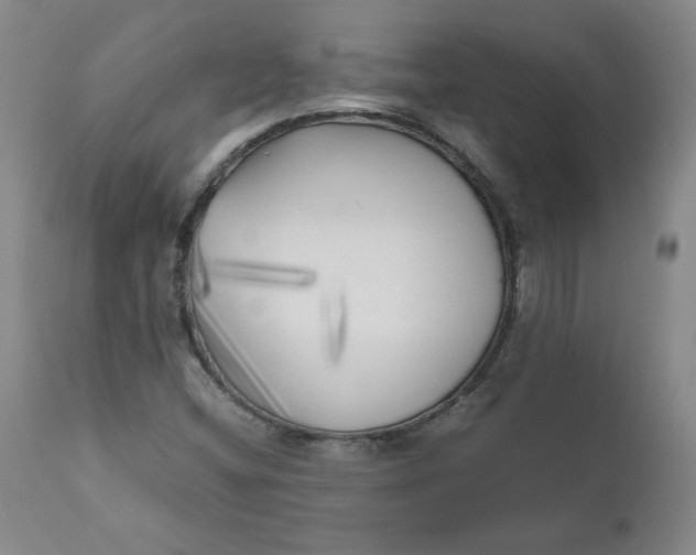 X0000111011404200907101305