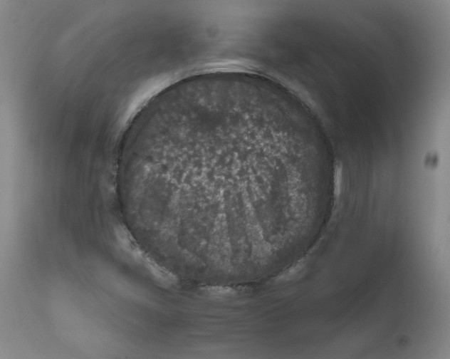 X0000111011405200907101305