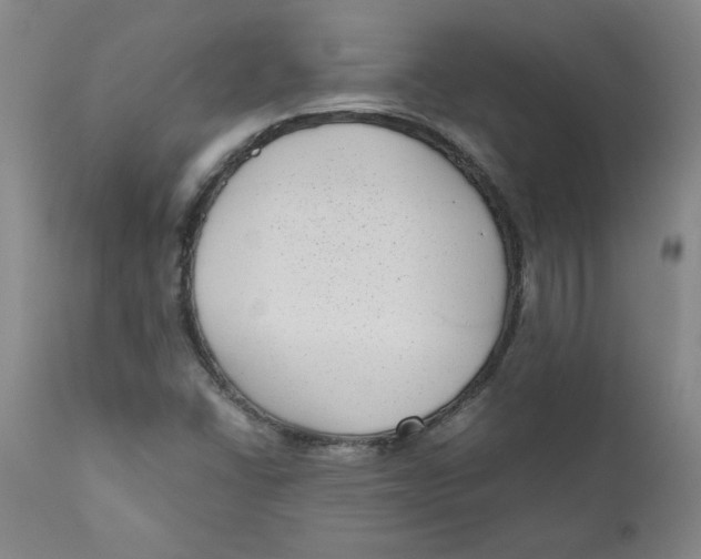 X0000111011406200907101305