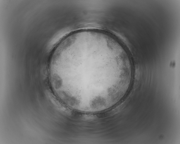 X0000111011407200907101305