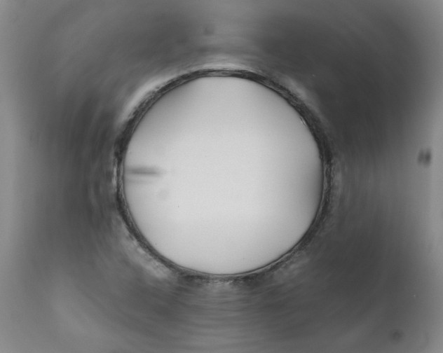 X0000111011408200907101305