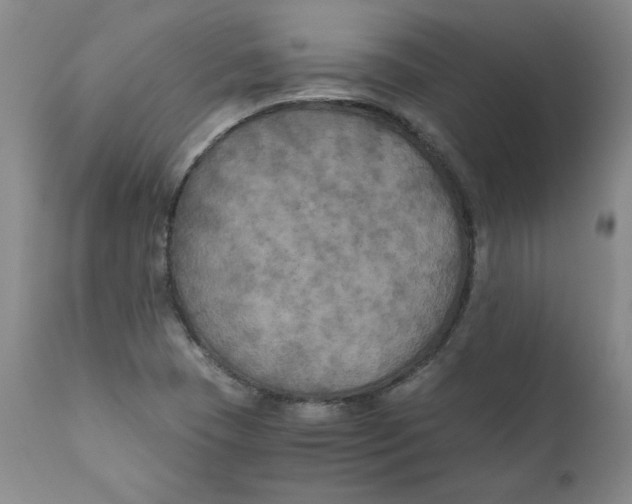 X0000111011409200907101305