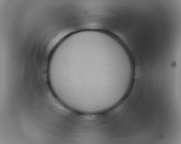 X0000111011410200907101305
