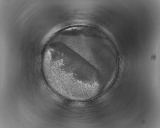 X0000111011411200907101305