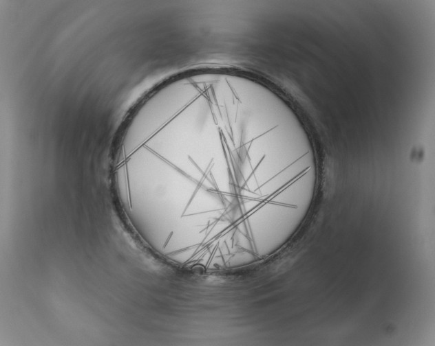 X0000111011412200907101305