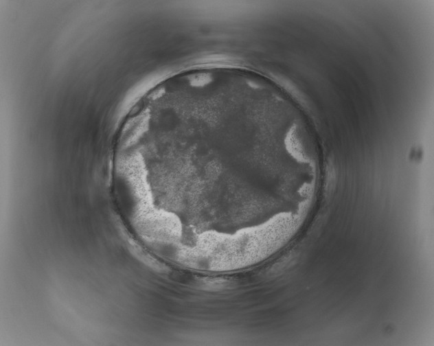 X0000111011413200907101305