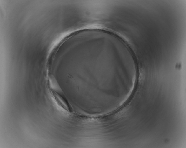X0000111011414200907101305