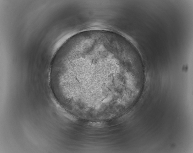 X0000111011415200907101305