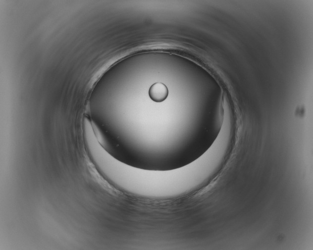 X0000111011417200907101305
