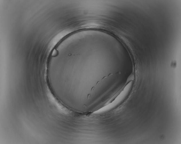 X0000111011418200907101305